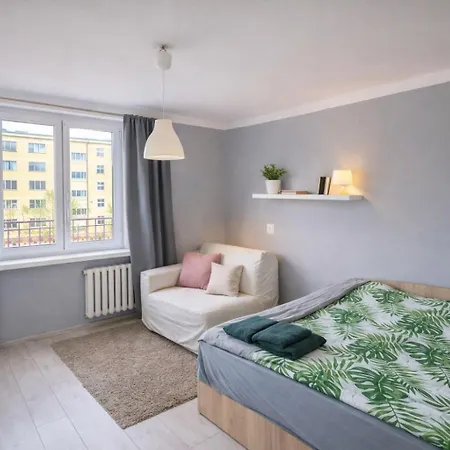 High Standard-university District *