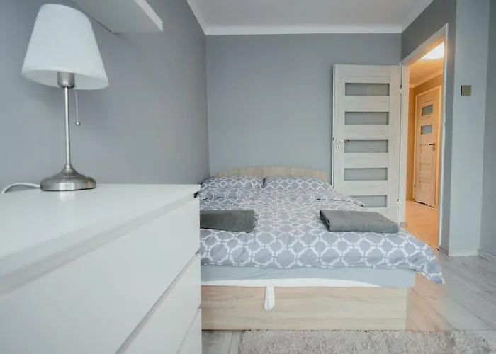 High Standard-university District *