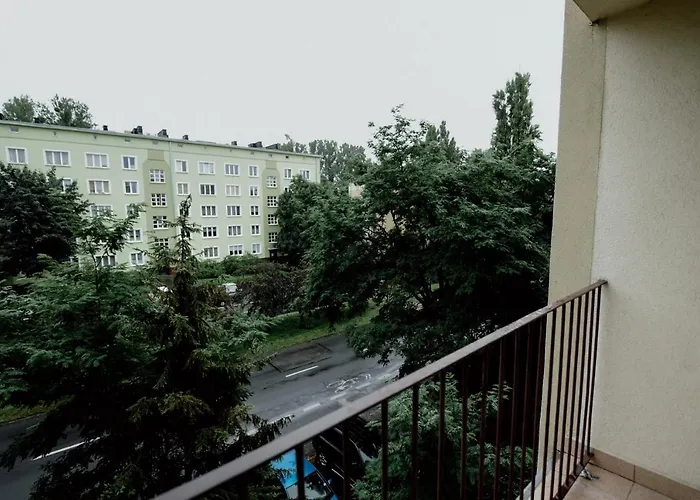 High Standard-university District *