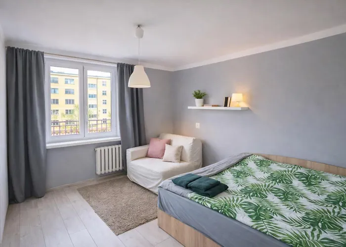 High Standard-university District *